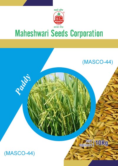 Masco-44 Paddy Seeds