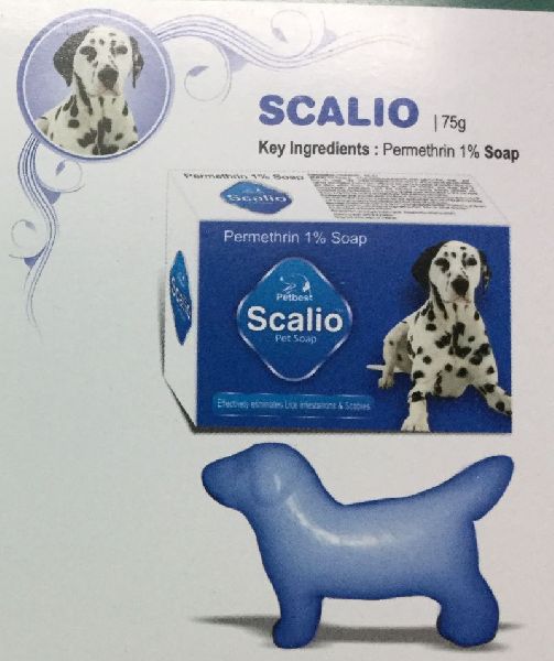 Scalio Soap
