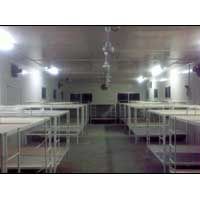 Labour Shelter Inner View