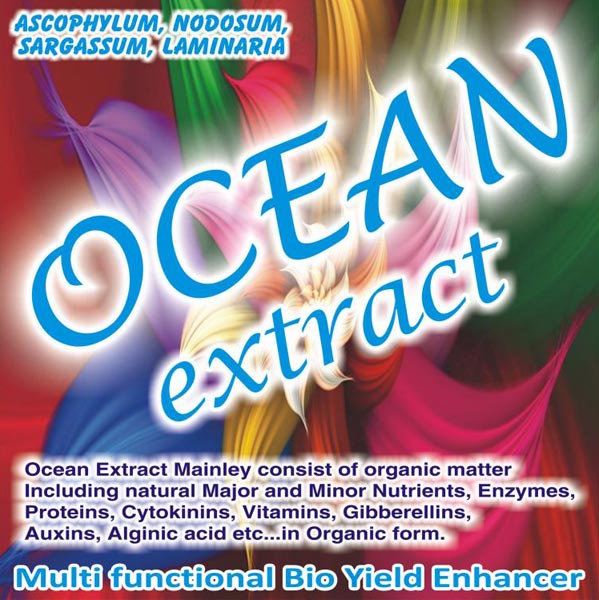 Seaweed Extract 03