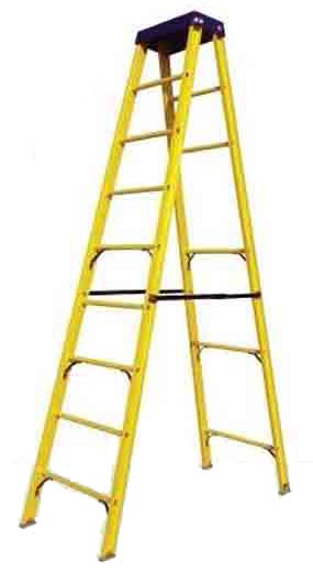 Single Section Ladder 02