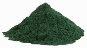 Spirulina Powder 01