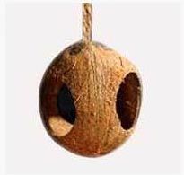 Coconut Shell Bird Feeder