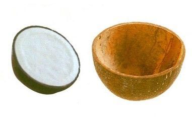 Coconut Shell Ice Cream Cups