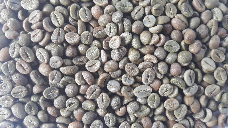 Robusta A Green Coffee Beans
