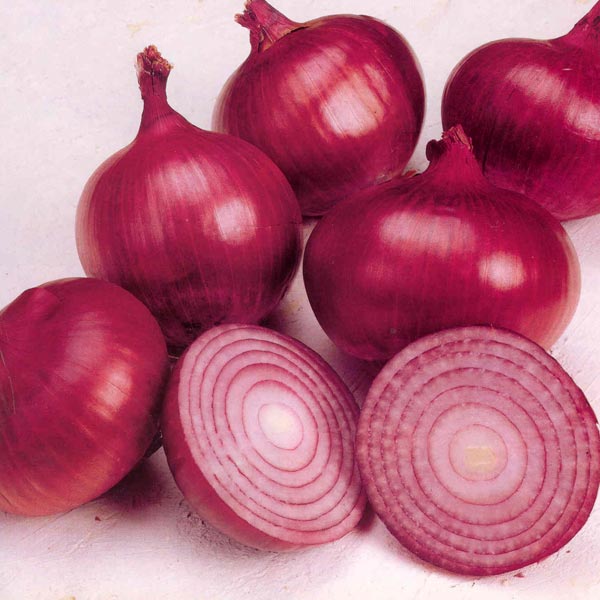 Fresh Red Onion 01