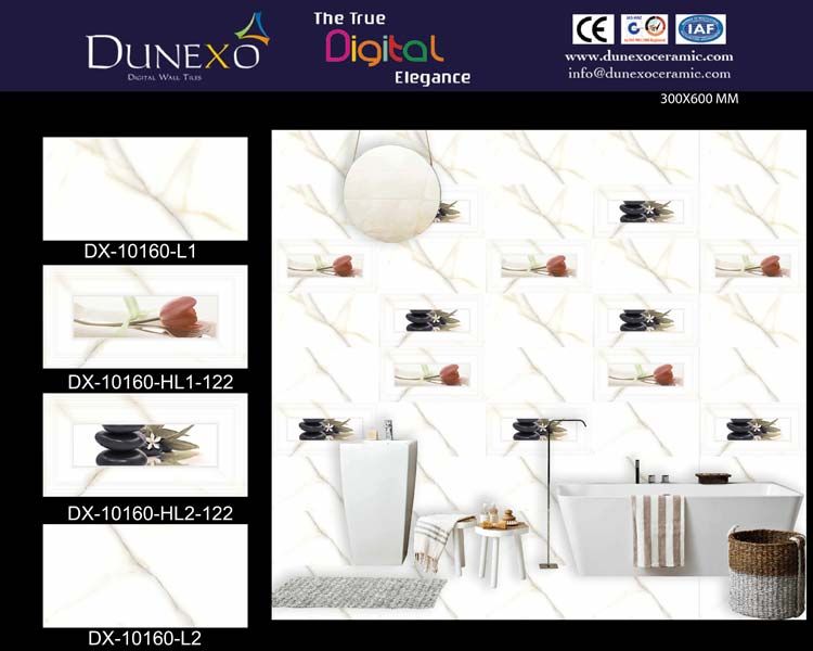 30x60 Glossy Series Ceramic Wall Tile (DX-10160)