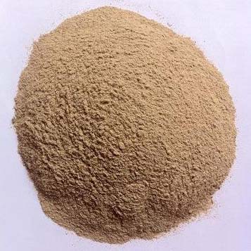 Rice Gluten Powder