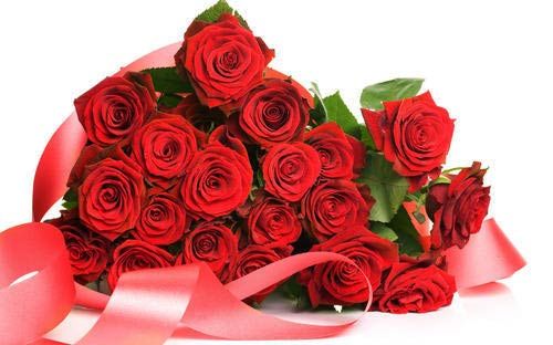Fresh Red Roses