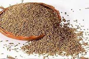Cumin Seeds (afganistan)
