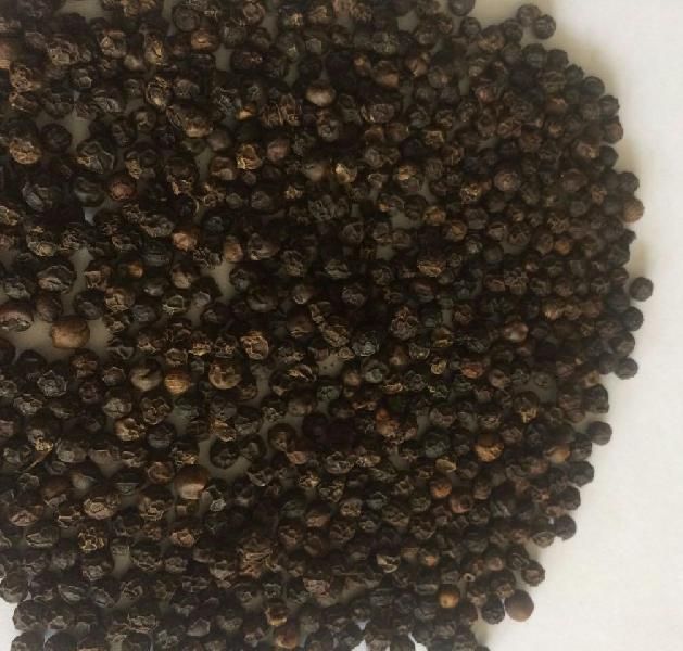Black Pepper Seed 04