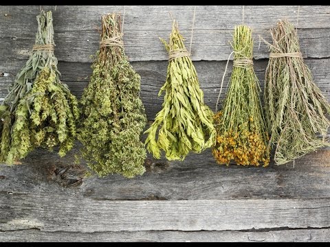 Natural Dried Herbs