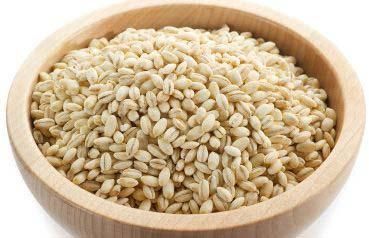 Barley