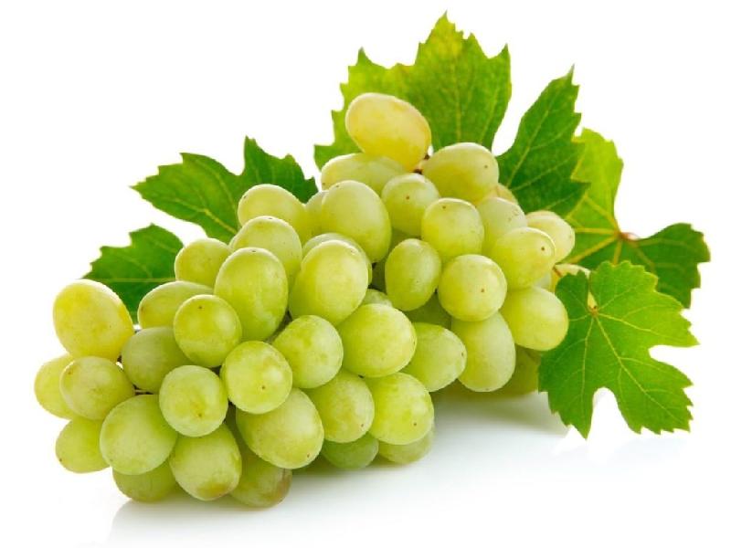 Fresh Grapes Manufacturer,Fresh Grapes Supplier and Exporter from Bhuj ...