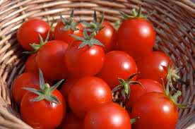 Fresh Tomato 01