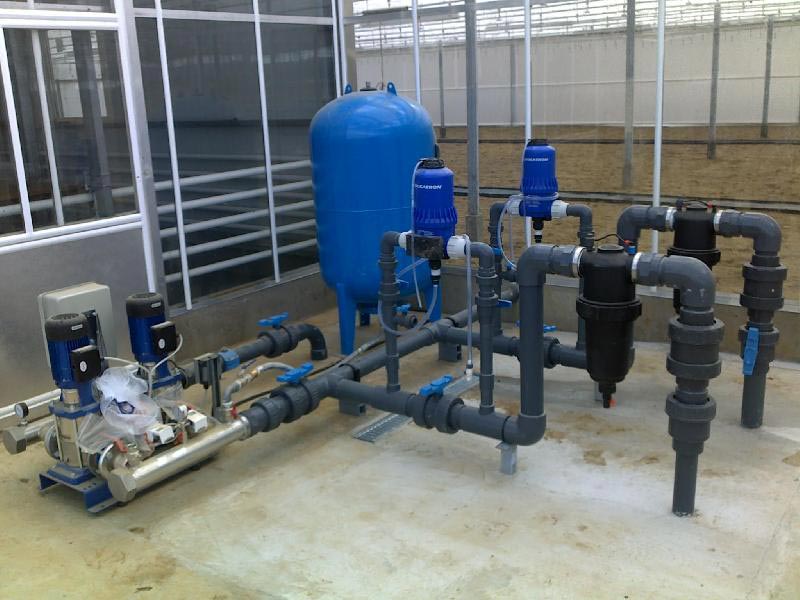 SriJagat Poly House Co. in Adampur, Jalandhar, Punjab Gerbera Flower