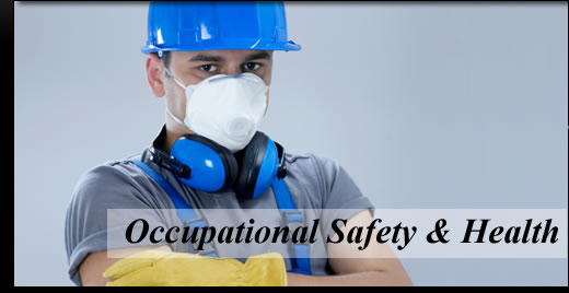 Occupational Safety and Health Monitoring Services