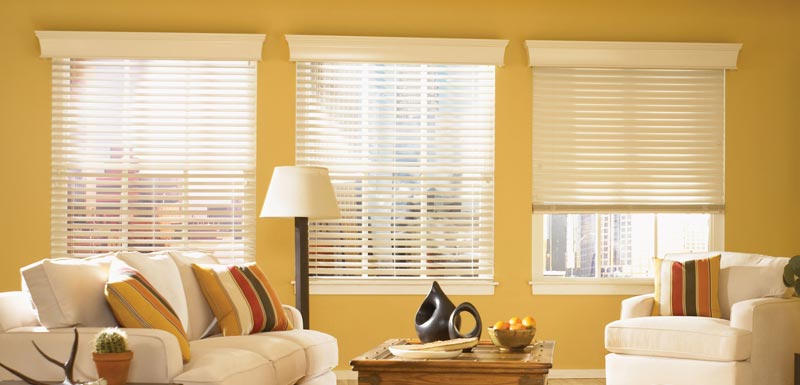 Horizontal Window Blinds