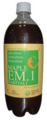 Agricultural Maple Em.1