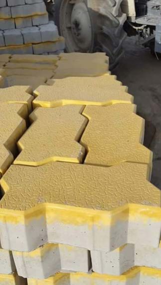 Interlock Paver Blocks 12