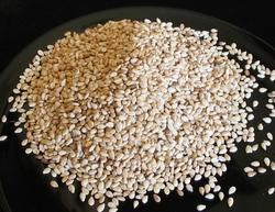 Organic Sesame Seeds