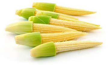 Preserved Baby Corn