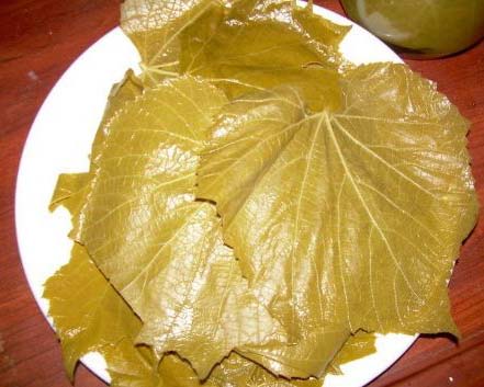 Preserved Grapes Leaves