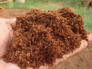 Coir Peat