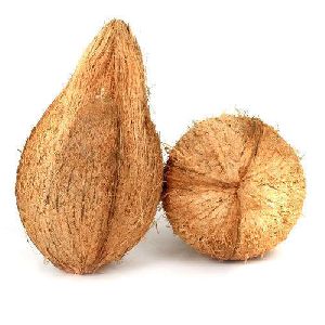 Semi-husked Coconut