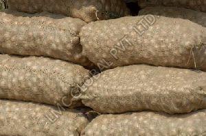 Onion Burlap Bags