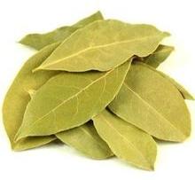 Bay Leaves