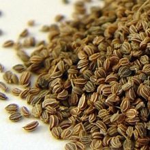 Celery Seed