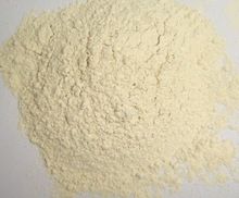 Dehydrated Garlic Powder