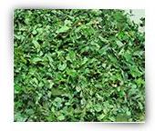 Moringa Dried Leaves