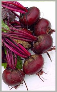 Red Beetroot