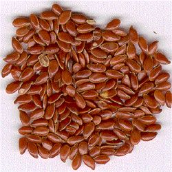 Flax/Lin Seed
