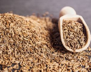 Cumin Seed