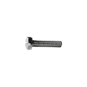 Hexagon Slotted Screw