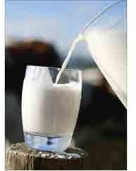 Dairy Product Lactose