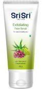 Exfoliating Face Scrub