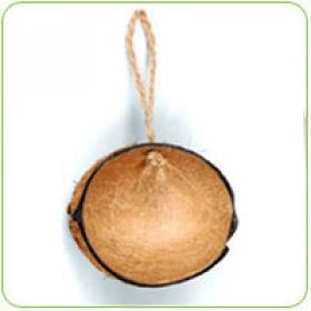 Coconut Shell Bird Feeder