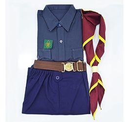 Girls Scout Uniform