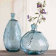 Glass Flower Vase