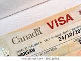 International Visa Service
