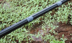 Drip Irrigation System for Agriculture