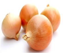 ORGANIC YELLOW ONION