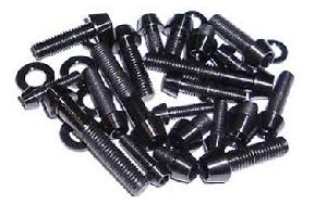 Duplex Steel Fasteners