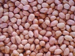 Shelled Peanut