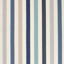 Cotton Stripe Print Fabrics