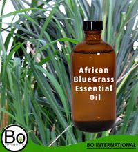 African Bluegrass Essential Oil